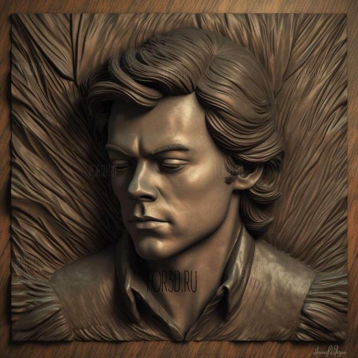 Harry Styles 1 3d stl модель для ЧПУ